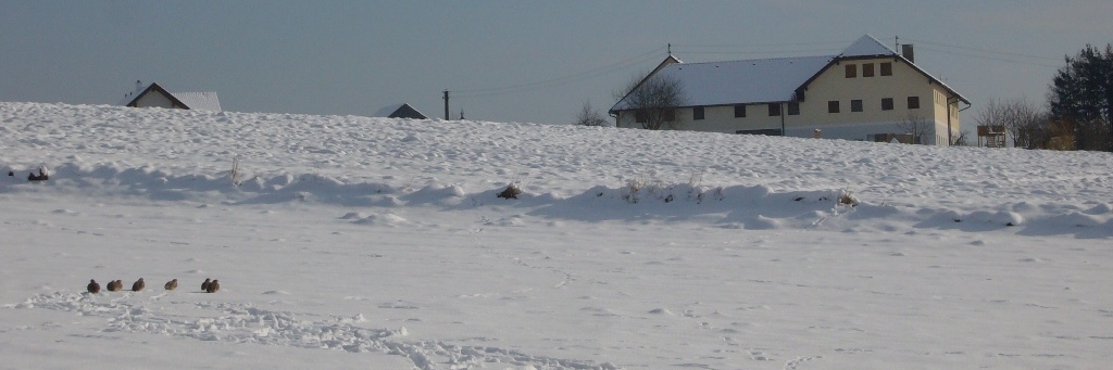 headerbild01.jpg