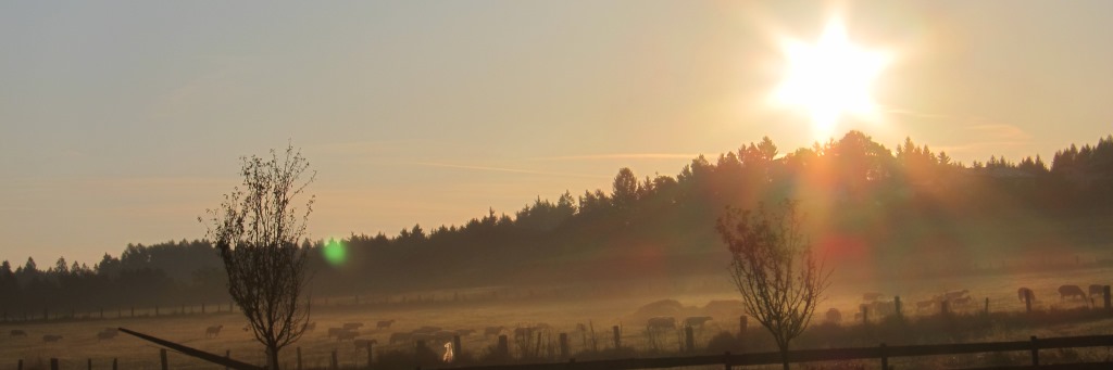 headerbild06.jpg