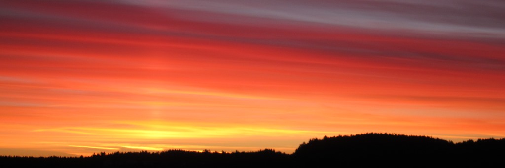 headerbild12.jpg